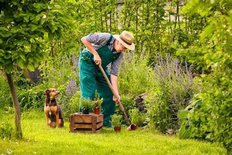 Best Gardening Tools For Seniors And The Disabled Best Mobility Aids