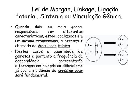 Lei De Morgan Linkage Ligação Fatorial