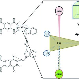 Typical Synthetic Pathway Of Cu MOF Schematic Fig 2 Probable