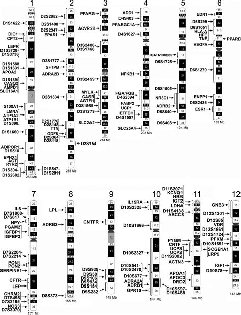 The Human Gene Map for Performance and Health-Related Fitnes ...