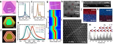 Bilayer Mose2 Wse2 Lateral Multijunction Heterostructures And Download Scientific Diagram