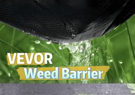 Effective Weed Control With VEVOR Weed Barrier Landscape Fabric VEVOR