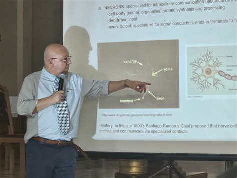 Encontro Das Comunidades Terap Uticas Come A Hoje Em Ponta Grossa