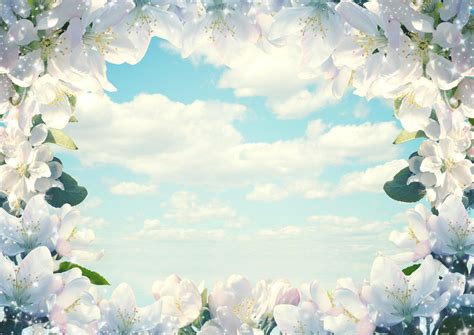 Flower Frame HD Wallpapers - Top Free Flower Frame HD Backgrounds ...