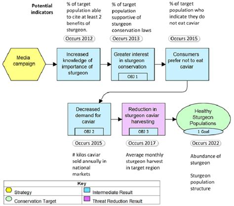 Relationship Between Results Chains Indicators And Temporal Sequence