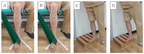 Tibialis Posterior Strengthening Flat Feet Exercises 56 Off