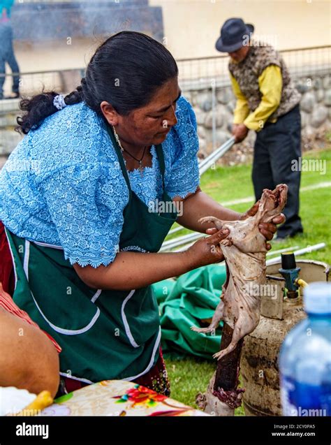 Tarqui Ecuador October 4 2015 Woman Prepares A Cuy Guinea Pig For