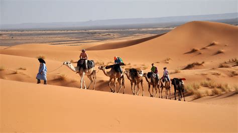 Wüsten - Die Sahara - Wissen - SWR Kindernetz