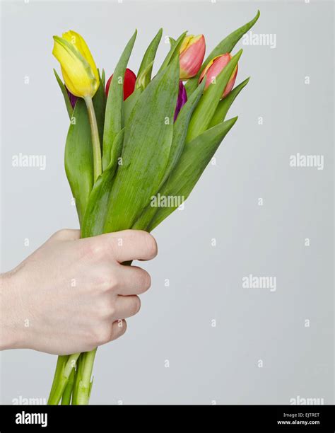 Danke sagen mit blumen Fotos und Bildmaterial in hoher Auflösung Alamy