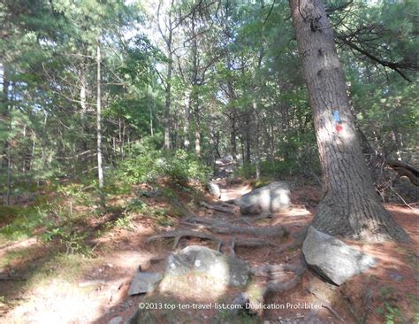 Blue Hills Reservation: A Beautiful Hiking Oasis Just Outside of Boston ...