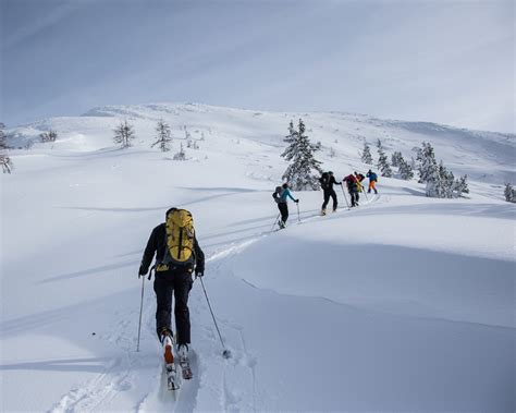 Lawinenseminar für Fortgeschrittene Steiermark Alpinschule Bergpuls2