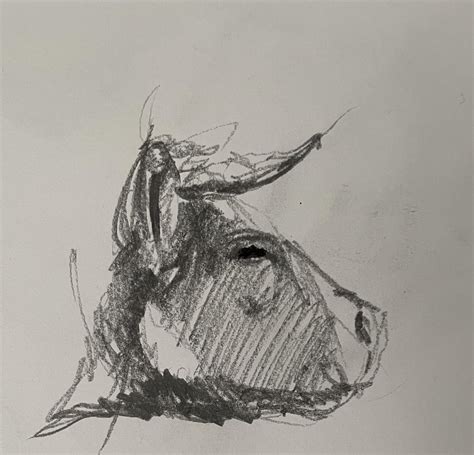 Quick pencil sketch of a cow : r/Pencildrawing