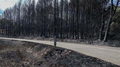 ¿qué Falló En El Protocolo Para Que El Incendio De Zamora Fuera Tan