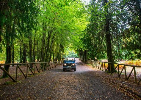 Experi Ncias Exclusivas Na Ilha Da Madeira E Porto Santo Transfers