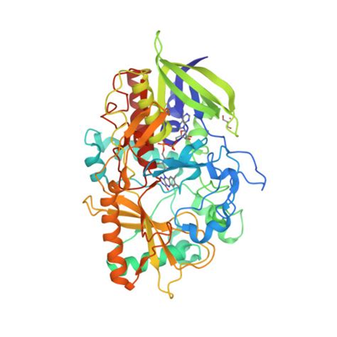 RCSB PDB 1N4V ATOMIC RESOLUTION STRUCTURE OF CHOLESTEROL OXIDASE PH