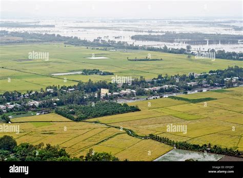 Mekong Delta Rice Fields View From Sam Mountainchau Doc Stock Photo