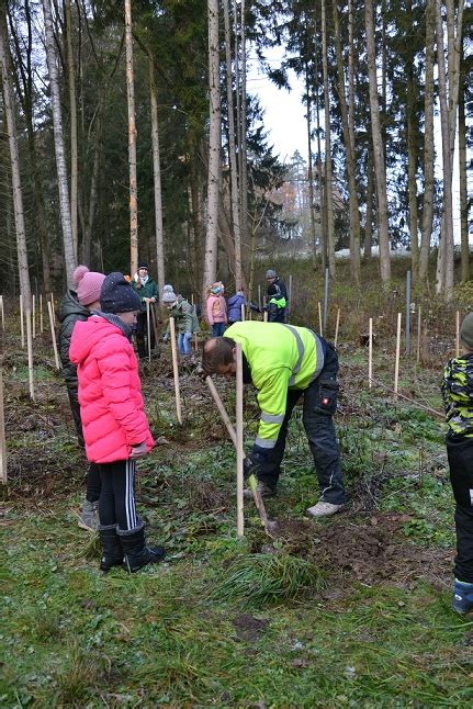 Nachhaltigkeitsaktion Ein Baum F R Jedes Neue Girokonto Sparkasse