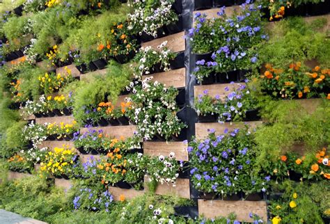 Vertical Garden Berkebun Di Lahan Terbatas Anakkuid