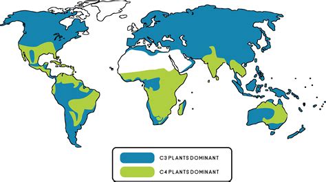 Species Biology – Rangeland Ecosystems of the Western US