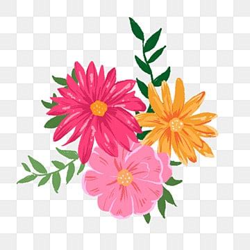 Flores Ilustradas A Mano Png Im Genes Transparentes Pngtree