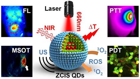 CuInS ZnS量子点诊疗纳米药物的肿瘤治疗及其可视化体内分布 X MOL资讯