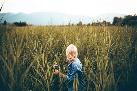 Woman Wheat Field Blonde Royalty Free Photo