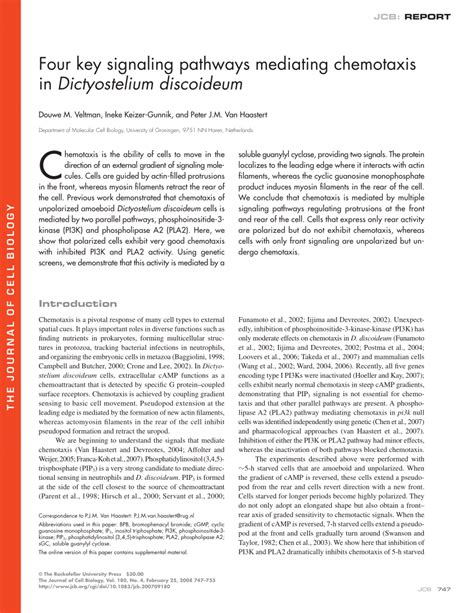 Pdf Four Key Signaling Pathways Mediating Chemotaxis In Dictyostelium Discoideum