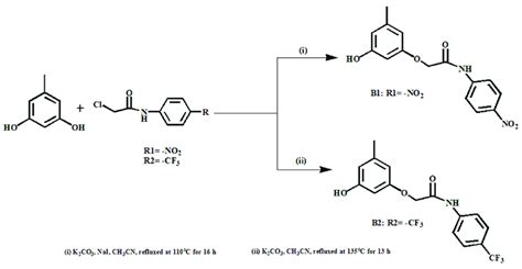 Scheme The Synthesis Of Compounds B And B Scheme The Synthesis