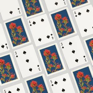 Playing Cards Indian Paintbrush Letterpress Lantern Press Artwork