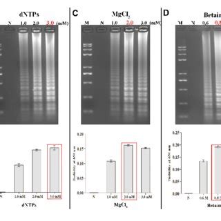 Schematic And Primers Location Of Psr Assay A Schematic Diagram Of