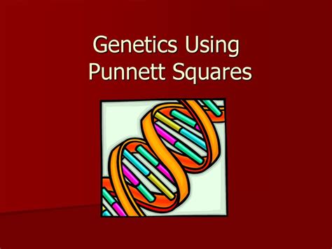 Genetics Using Punnett Squares Ppt Download