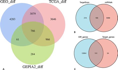 Venn Diagrams For Gene Level In Various Databases A For Differential