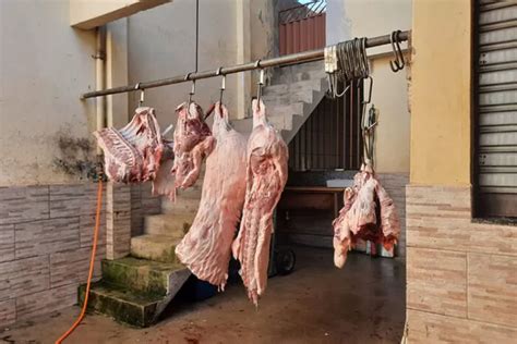 Uma Tonelada De Carne Apreendida Em Abatedouro Clandestino Em Ub