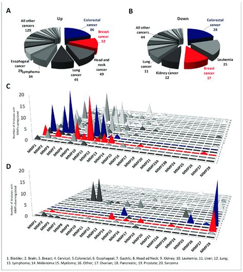 Differential Expression Of MMP Members Between Normal And Cancer