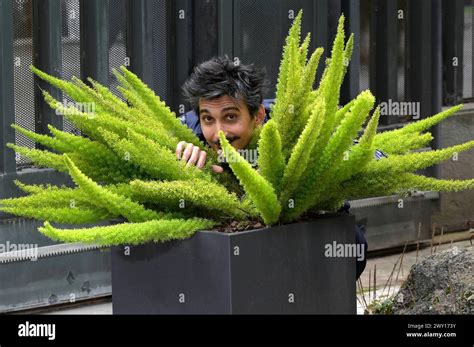 Fabrizio Biggio Beim Photocall Zur Verleihung Der Filmpreise Premi