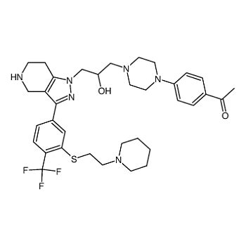 Abcam Anti Ornithine Decarboxylase Odc Bsa And Azide Free