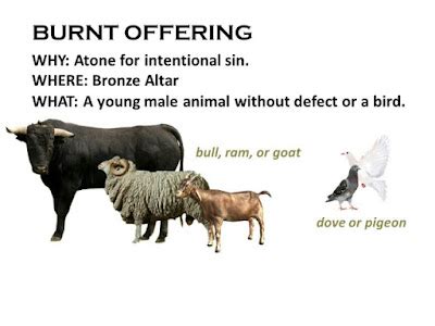 Emmaus Road Ministries: The Five Offerings Of Leviticus Part 2: The Burnt Offering