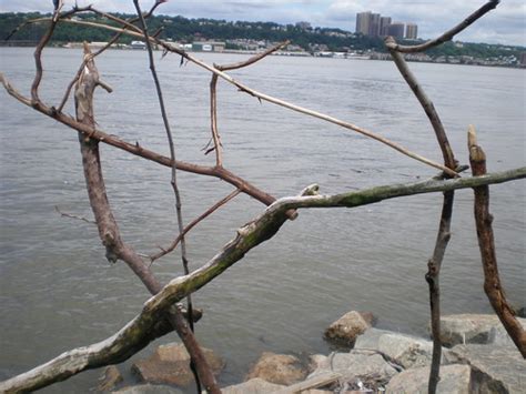 SUMMER STORMS 2 Sculpture By Tom Loback Heart Of The Pie Flickr