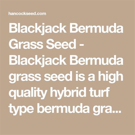 Blackjack Bermuda Grass Seed Bermuda Grass Seed Bermuda Grass Grass Seed