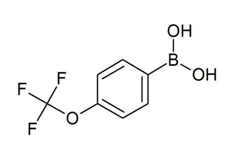 4 トリフルオロメトキシフェニルボロン酸 India Fine Chemicals