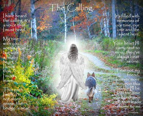 angels call photograph  sue long fine art america