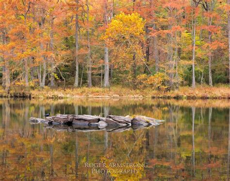 Roger Armstrong Photography: Fall Color @ Beavers Bend