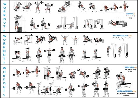 A Serious 6-Week Mass Building Routine For Serious Lifters Who Wants To ...