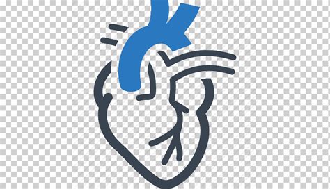 Iconos Del Ordenador Cardiología Cardiopatía Enfermedad Cardiovascular