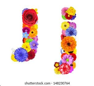 Letter N Flower Alphabet Isolated On Foto De Stock 148230743 Shutterstock