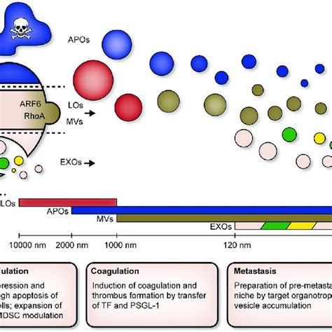| Advantages and disadvantages of isolation techniques. | Download Table 