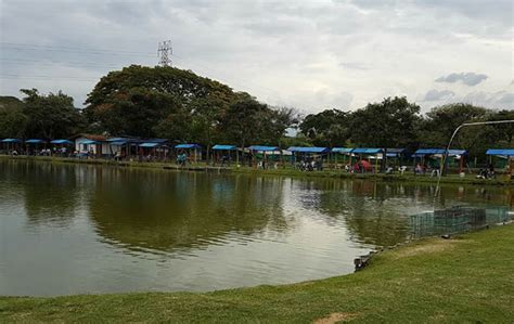 Pesca Deportiva Martin Pescador Palmira Valle Del Cauca