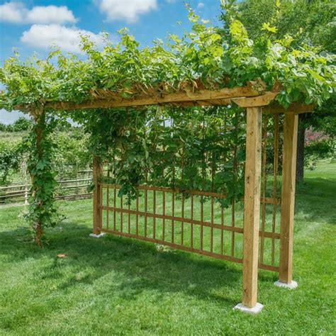 16 Grape Vine Trellis Ideas » Comfy Ideas