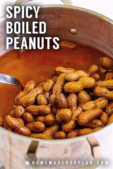 Spicy Boiled Peanuts Love Yarn