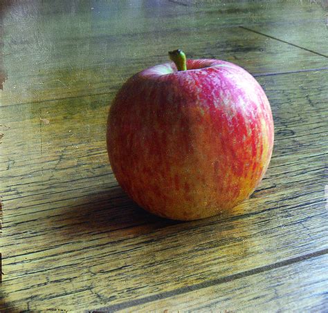 Apple Still Life Photograph by Marie Hough - Fine Art America